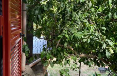 Green Heaven - Foto 11