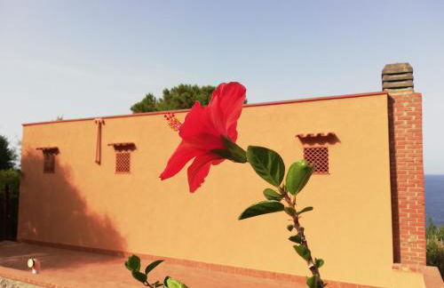 Piccola Baia - Foto 6