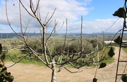 Agriturismo Cuaddus e Tellas - Foto 17