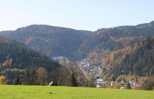 Ferienhaus in Brigach - Foto 36