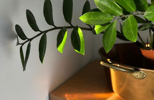 Casa Árbol - Foto 40