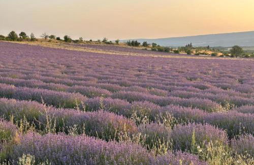 A beautiful 2 persons studio in a chateau with swimming pool - Foto 50