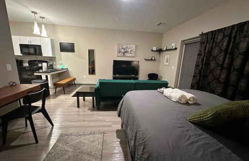 Harbor Hollow-Studio 2 mins to Renasant - Foto 7