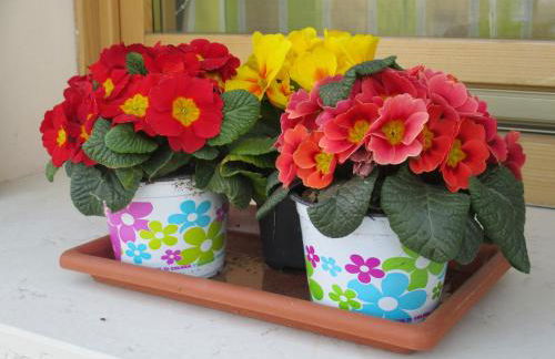 La Corte Di Ottorina - Foto 51