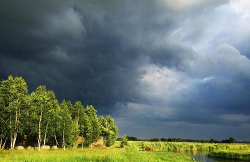 Przystan Kurpiowska - Foto 19