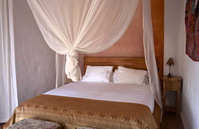 Paraiso Perdido - Foto 4