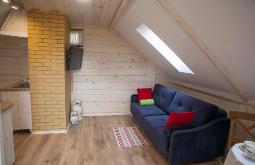 Apartamenty Osowa nad jeziorem Okmin - Foto 26