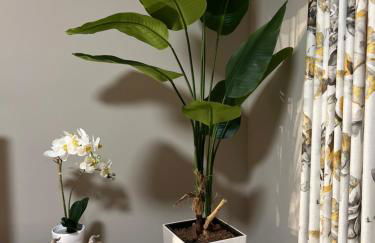 CityDreams mit Altbauflair die Premiumunterkunft in Lörrach bei Basel - Foto 24