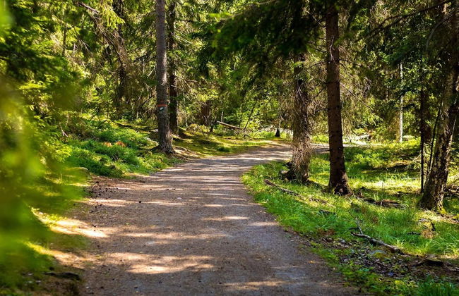 5 Person Holiday Home in Dala-jarna - Foto 23