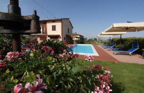 Il Giardino degli Ulivi Castiglione del Lago - Foto 16