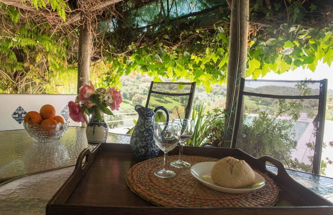 Country Mansion in Montemor-o-novo Alentejo - Foto 18