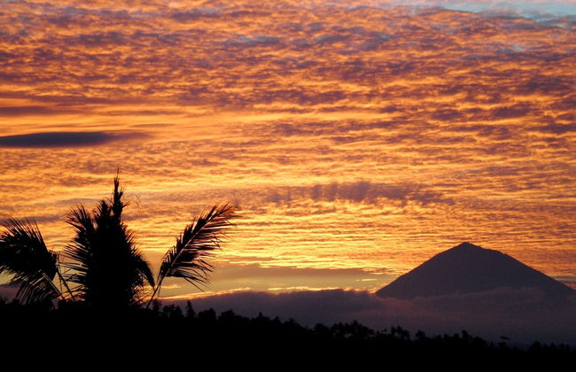 Shangrilah Villas - Foto 37