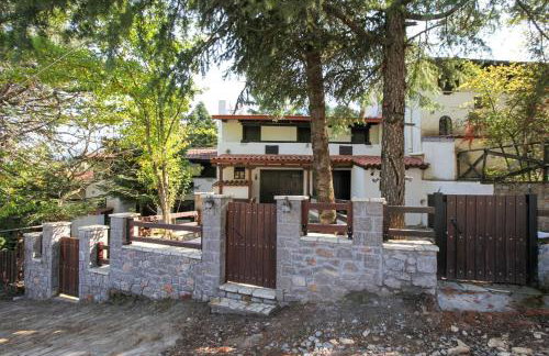 Dandy Villas Agoriani - Chalet Kallisti - Fireplace - Up to 6 - Foto 26