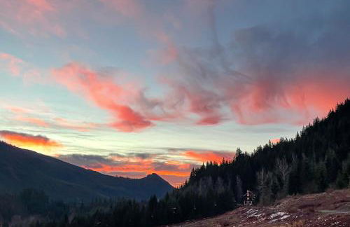 The Skis Knees - Foto 36