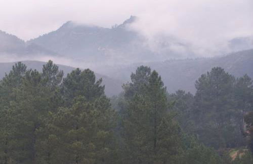 Casa do Rio 2 - Viver o rio e a montanha - Foto 32