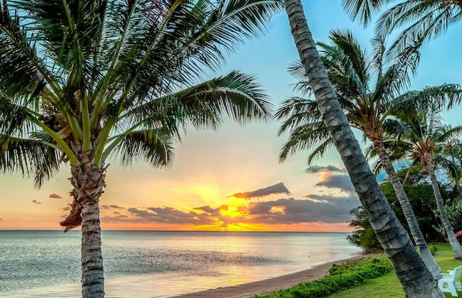 Castle at Moloka'i Shores - Photo 30