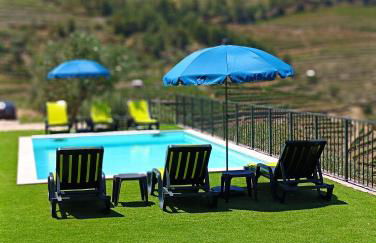 Quinta do Fraguil - Douro Valley - Foto 47