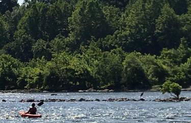 Lock Keepers Cottage on C&O Canal/Potomac River - Foto 49