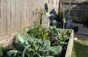 Updated Vintage Oasis, Near Downtown & Stadiums, Huge Yard - Foto 27