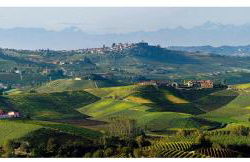 Casa Nalin - Photo 16