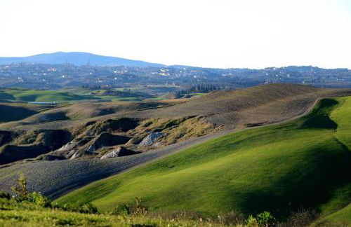 Podere il Granaio - Crete Senesi - Tuscany - Foto 48