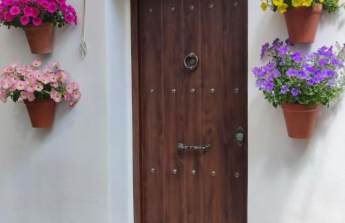 El patio de Regina - Foto 45