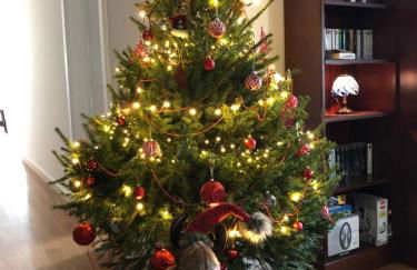 Quintinha de Palmyra - Foto 2