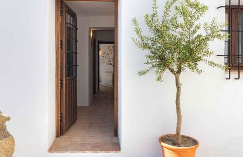 Casa Lucinda - Foto 64