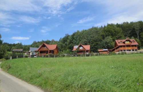 Domki pod Lasem - Foto 3