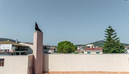 Kosta's Apartments - Foto 5