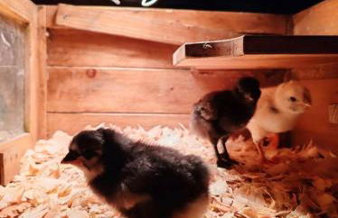 Le Ranch Normand - Foto 53