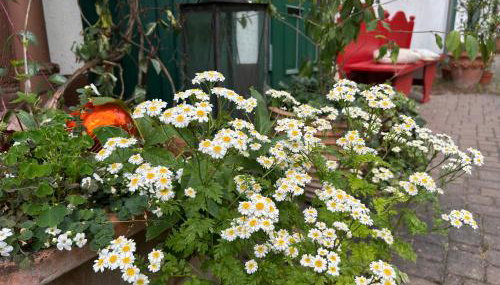 Wohnen & Kunst - Foto 4