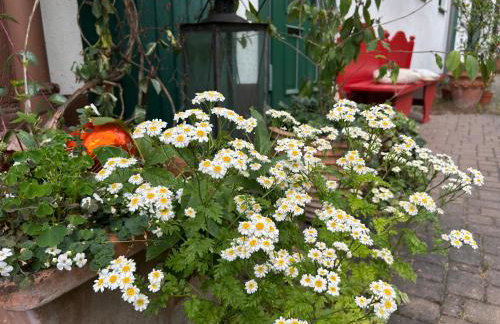 Wohnen & Kunst - Foto 4