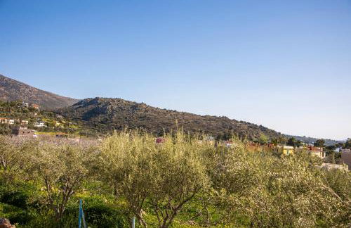 Zefi's Aegina Apartment - Foto 34