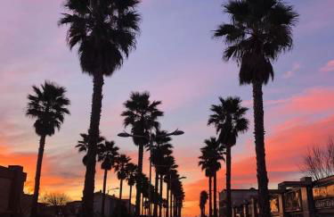 Résidence Le SUNSET Marseillan-plage, entre mer et lagune de Thau, étape vélo, famille, couple, VRP, toutou admis, jardin, parking privé gratuit, vélos, Clim, WIFI fibre gratuite, commodités, plage et piste cyclable à proximité, 6 couchages nous contacter - Foto 39