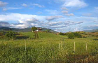 Auberge Santu Martine: cottage with pool (Sughera) - Foto 46