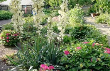 Ferienhaus am Kleinbauernhof Gersdorf bei Kühlungsborn - Foto 36