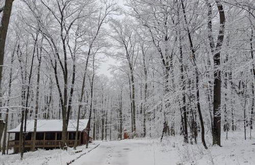 Hidden Haven - Foto 57