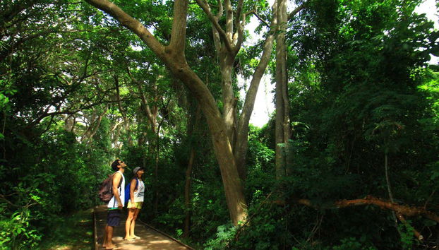 Desfrutando da natureza de Fernando de Noronha