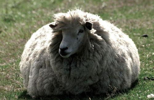 Holiday home with 2 bedrooms - Photo 26