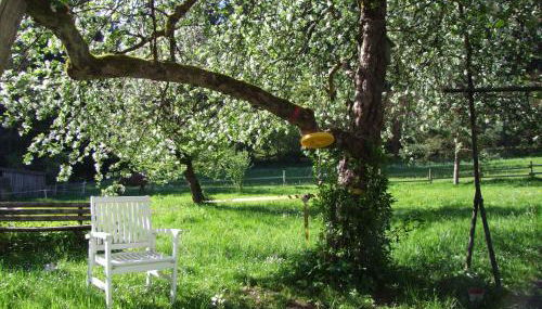 Wonderworld - Foto 4, Garden