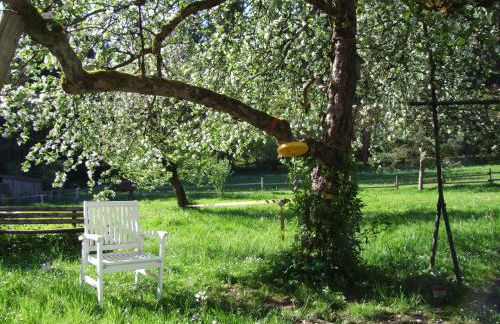 Wonderworld - Foto 4