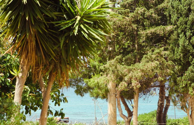 La casa a 3 minuti a piedi dalla spiaggia - Photo 14