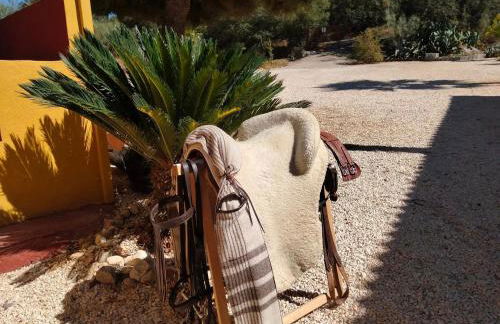 Finca Los Jacaros - Foto 48