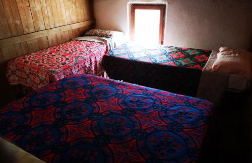 Pinnettu sardo casa di campagna in ecosistema insetti e animaletti simpatici in condivisione,Leggere attentamente Prima di prenotare - Foto 73