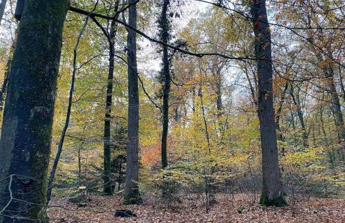 Urlaub mit Hund im Ferienhaus am Wingster Wald - Foto 13