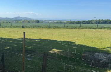 Sea View House - Photo 14