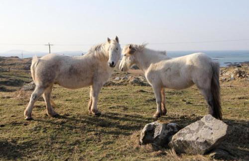 Eriskay Views Cottage - Foto 22