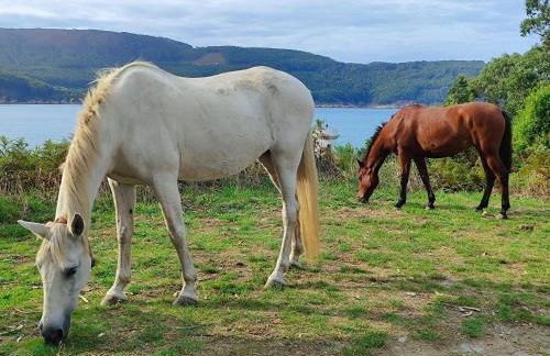 Estrella de O Vicedo - Foto 46