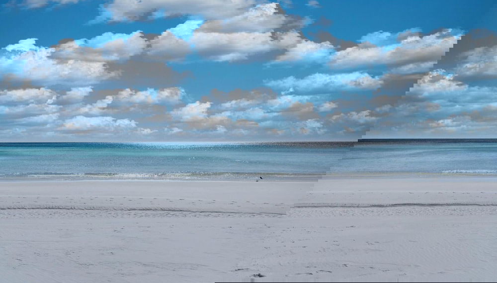 Harbor Landing 701b - Foto 1, Imagen principal